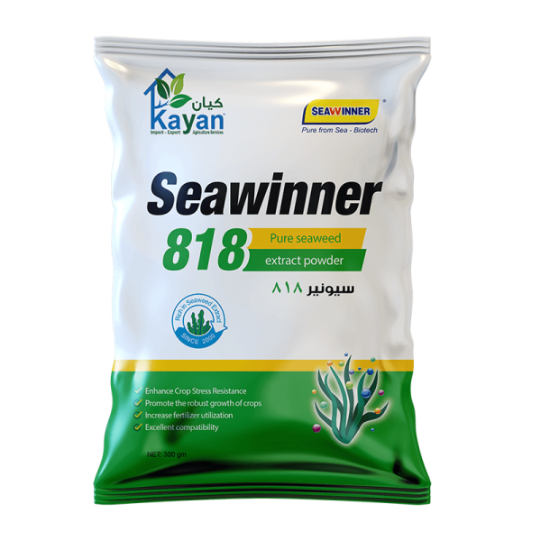 سيونير 818